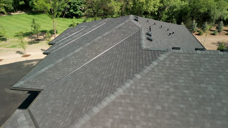 Best Roof Coating and Sealing  in Shoh, IL
