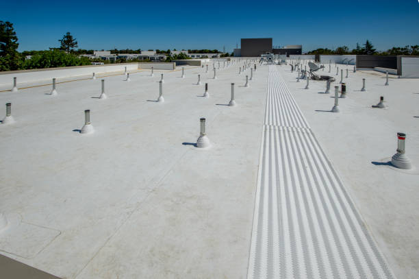 Best Skylight Installation and Repair  in Shoh, IL